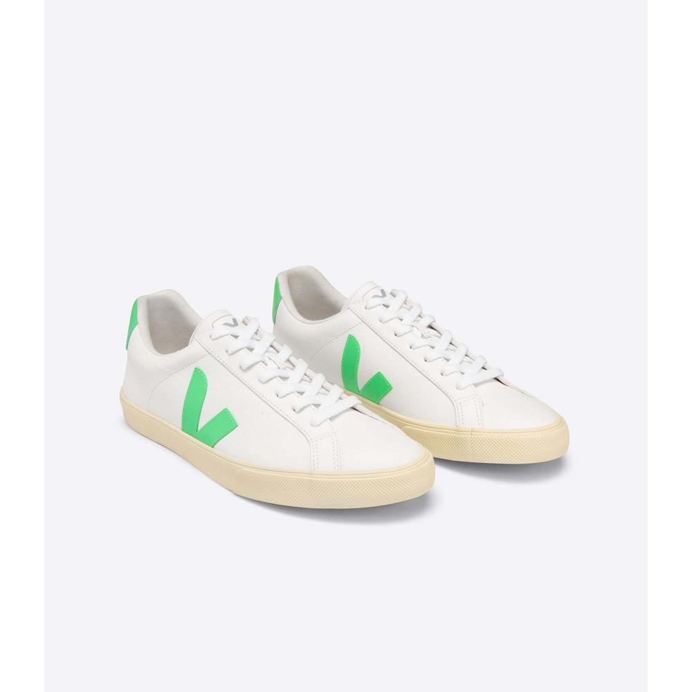 Veja ESPLAR CHROMEFREE BUTTER-SOLE Men's Sneakers White | NZ 301BEX